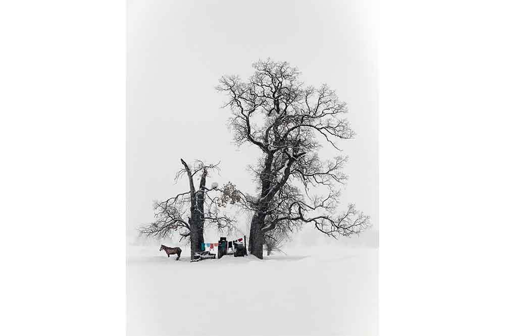 21. Devlet Fotoğraf Yarışması 4