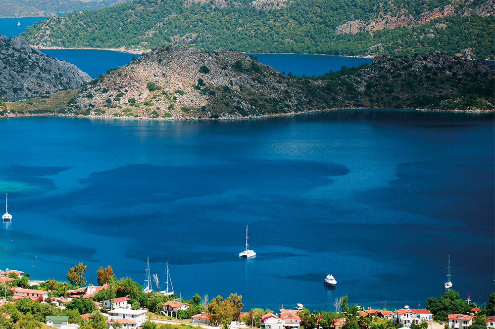 Akdeniz’e Güzel Haber! 1