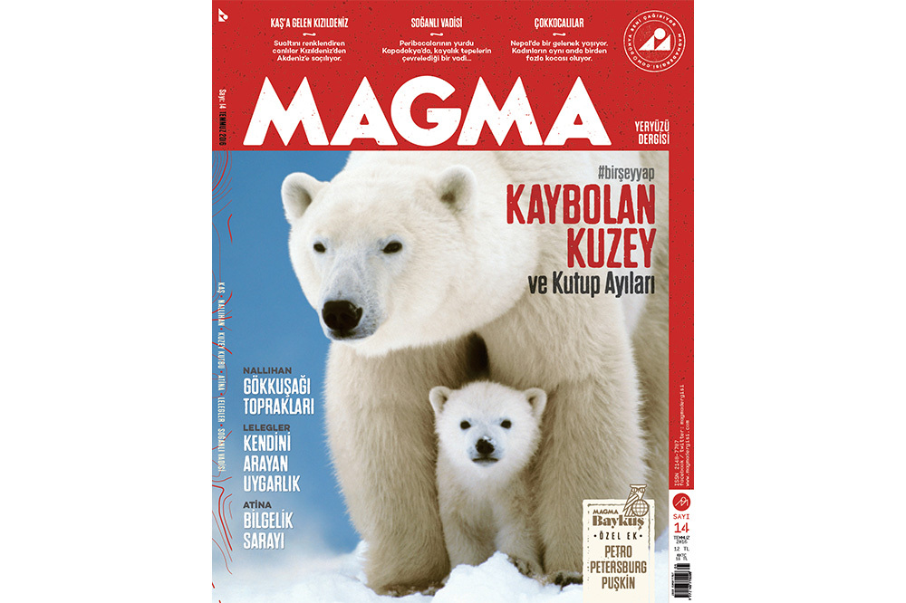 Arktik&rsquo;in Deniz Memelileri 1