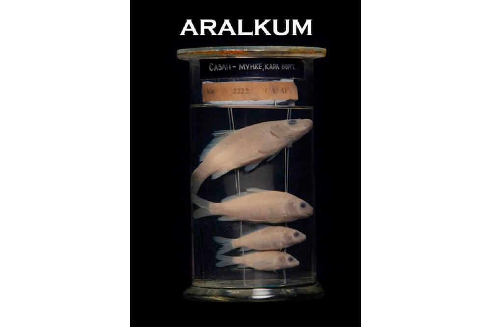 BIFED’in 10. Yılında Büyük Ödül İsveç’e 3