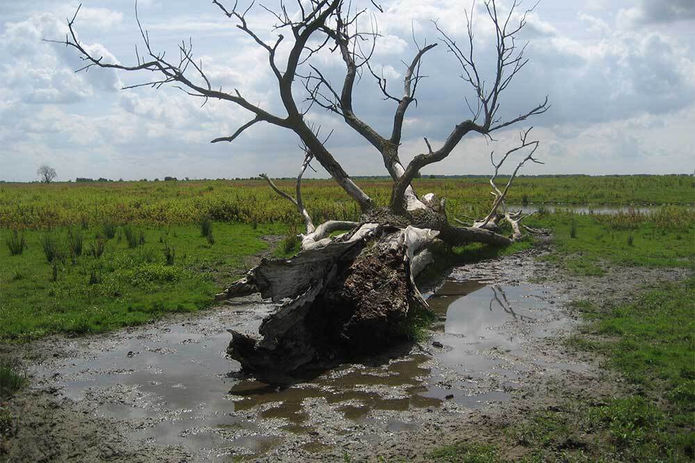 Cinema Ecologica Seçkisi Akbank Sanat’ta 1