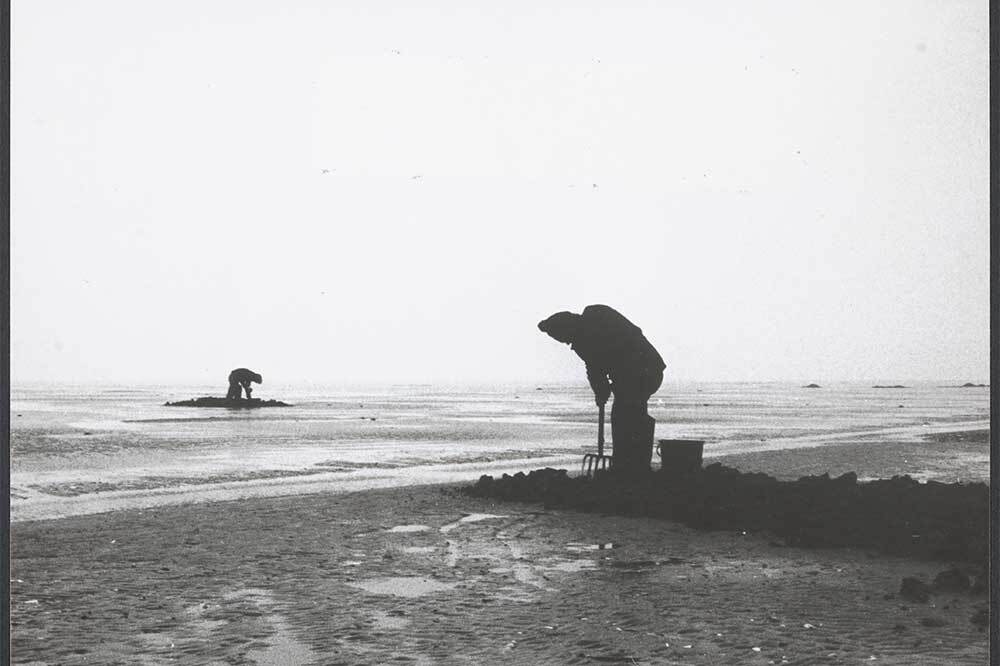 Cinema Ecologica Seçkisi Akbank Sanat’ta 2