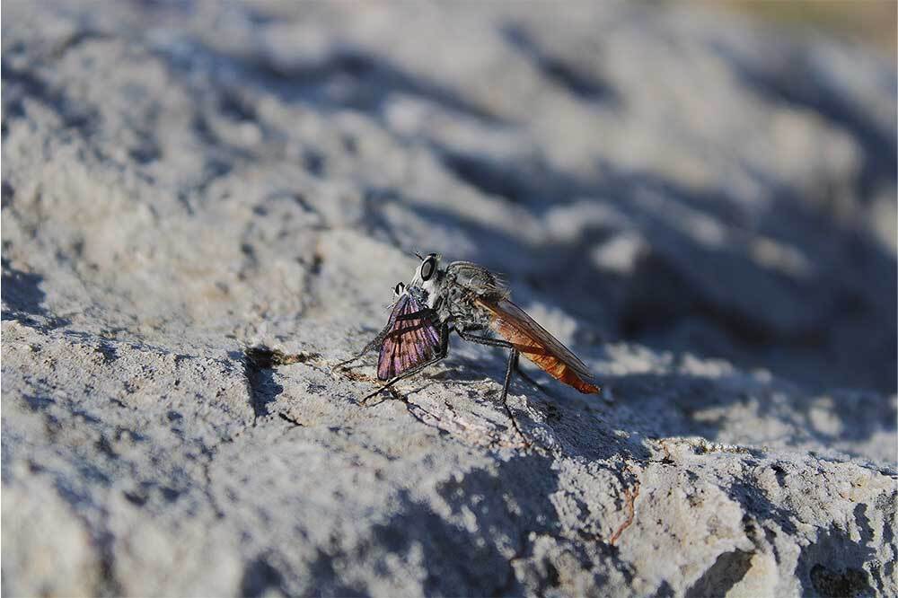 Doğa Kaşifi Gen&ccedil; İlham Veriyor 3