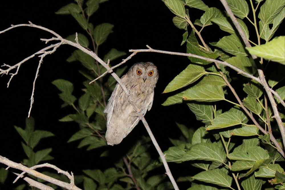 Doğa Kaşifi Gen&ccedil; İlham Veriyor 1