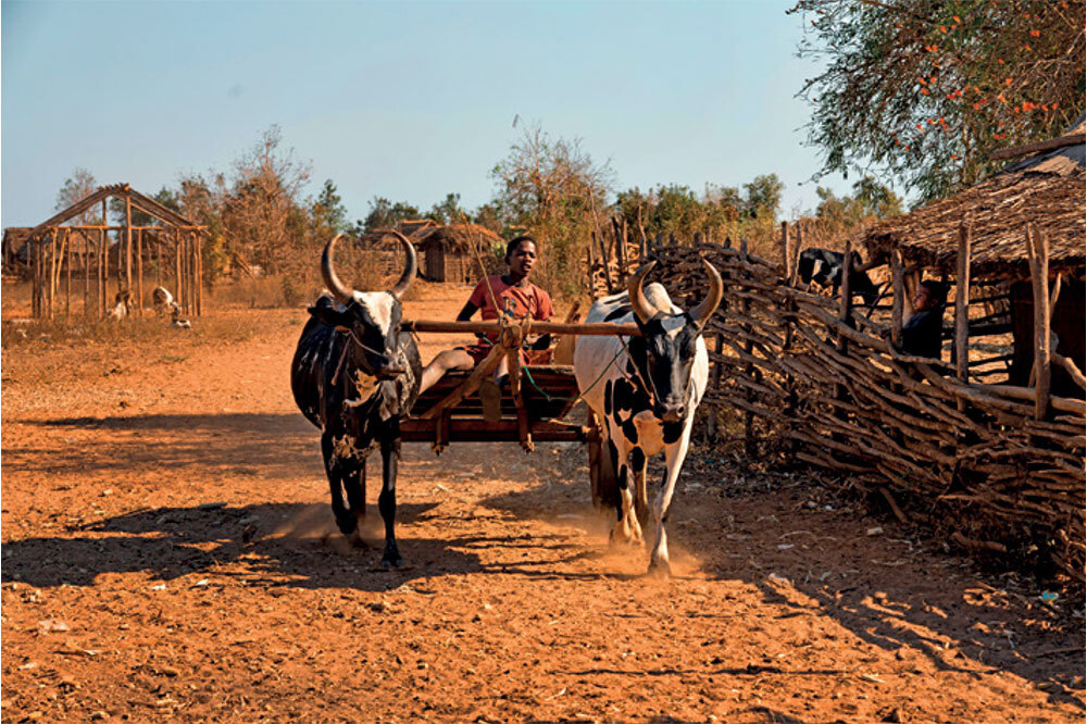 Dört Maddede COP28 4