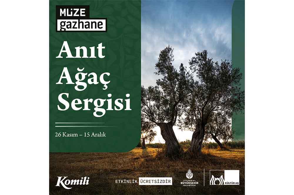 Dünya Ağacı Zeytin Günü 2
