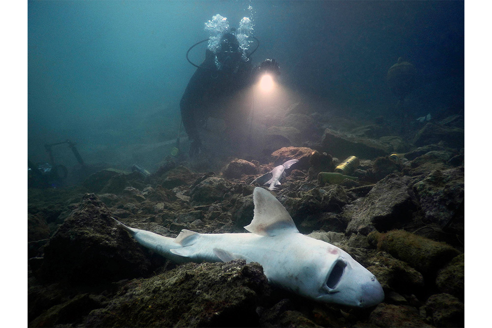 Fotoğrafçıların Gözünden: Karadeniz’in Kirliliği 1