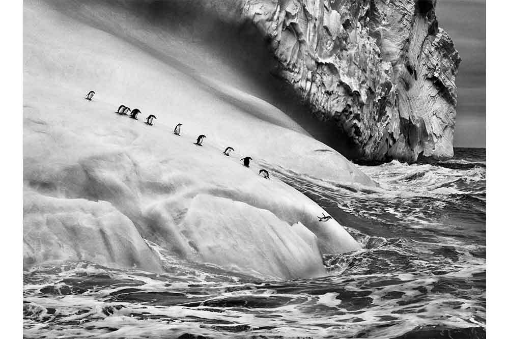 “Genesis” Sergisi Aralık Sonuna Kadar Açık 7