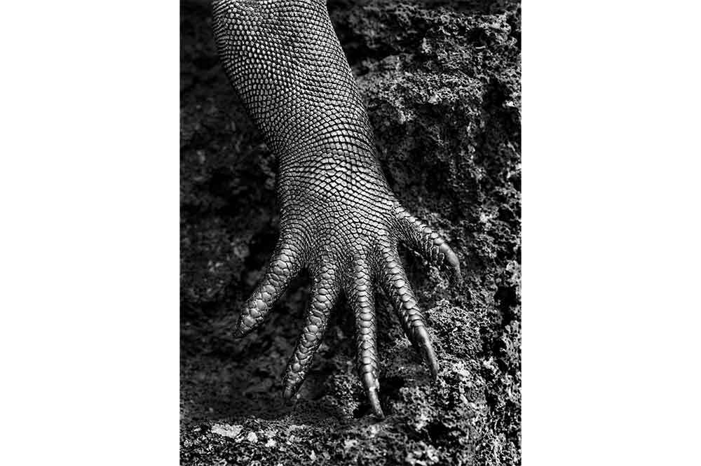 “Genesis” Sergisi Aralık Sonuna Kadar Açık 10