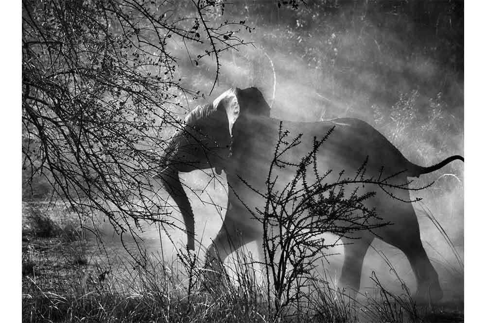 “Genesis” Sergisi Aralık Sonuna Kadar Açık 8