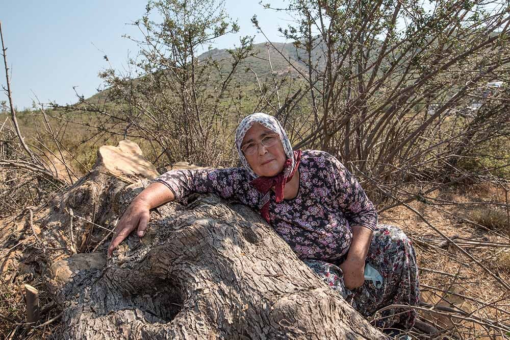 Halkın Kararlara Katılımını Savunmak: ÇED Yönetmeliği Yargıda 1