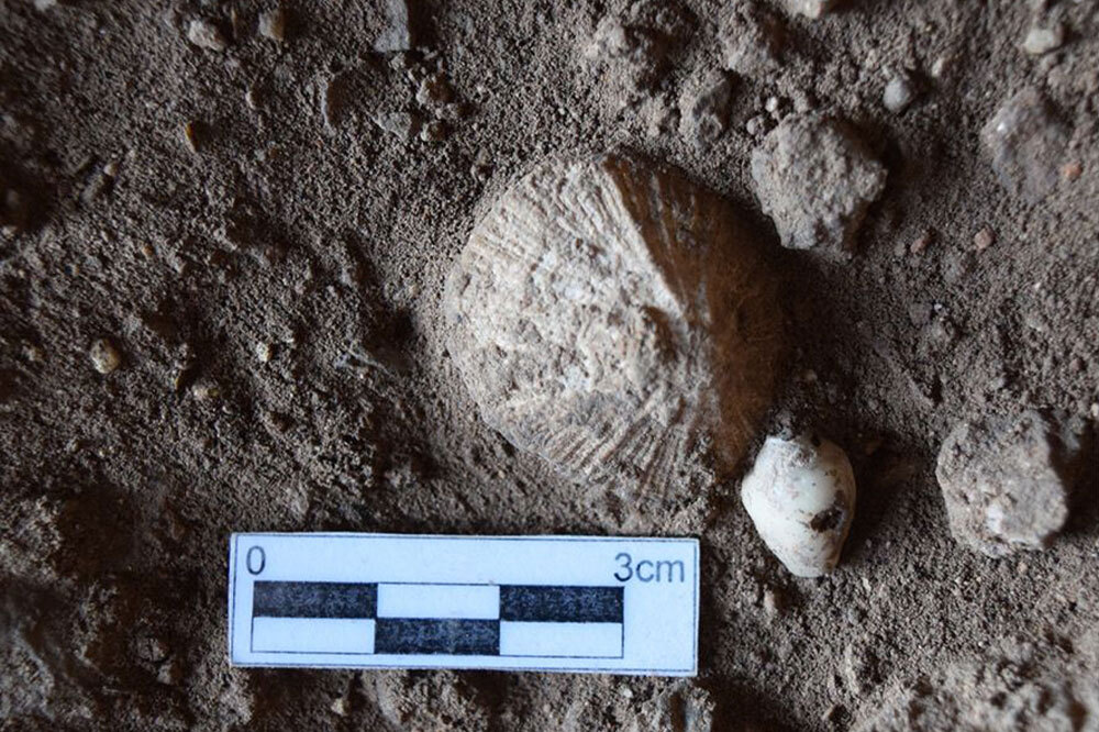 Hatay&rsquo;da Neandertallerin K&uuml;lt&uuml;rel Mirasını Modern İnsan S&uuml;rd&uuml;rd&uuml; 3