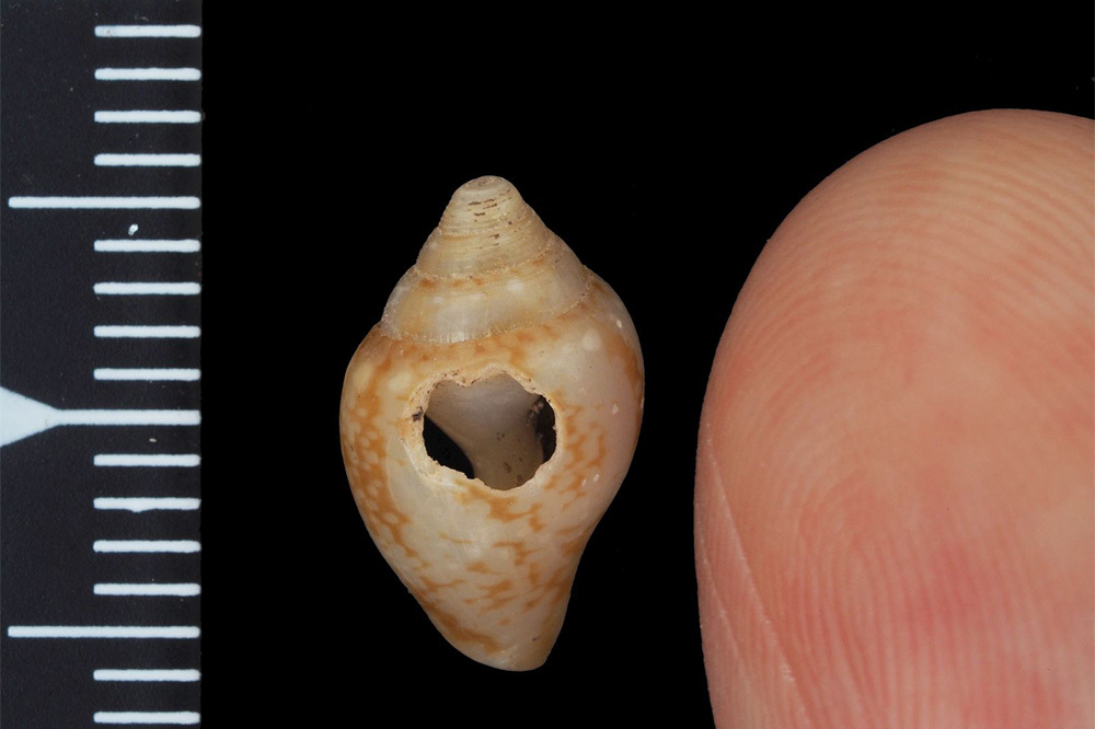 Hatay&rsquo;da Neandertallerin K&uuml;lt&uuml;rel Mirasını Modern İnsan S&uuml;rd&uuml;rd&uuml; 4