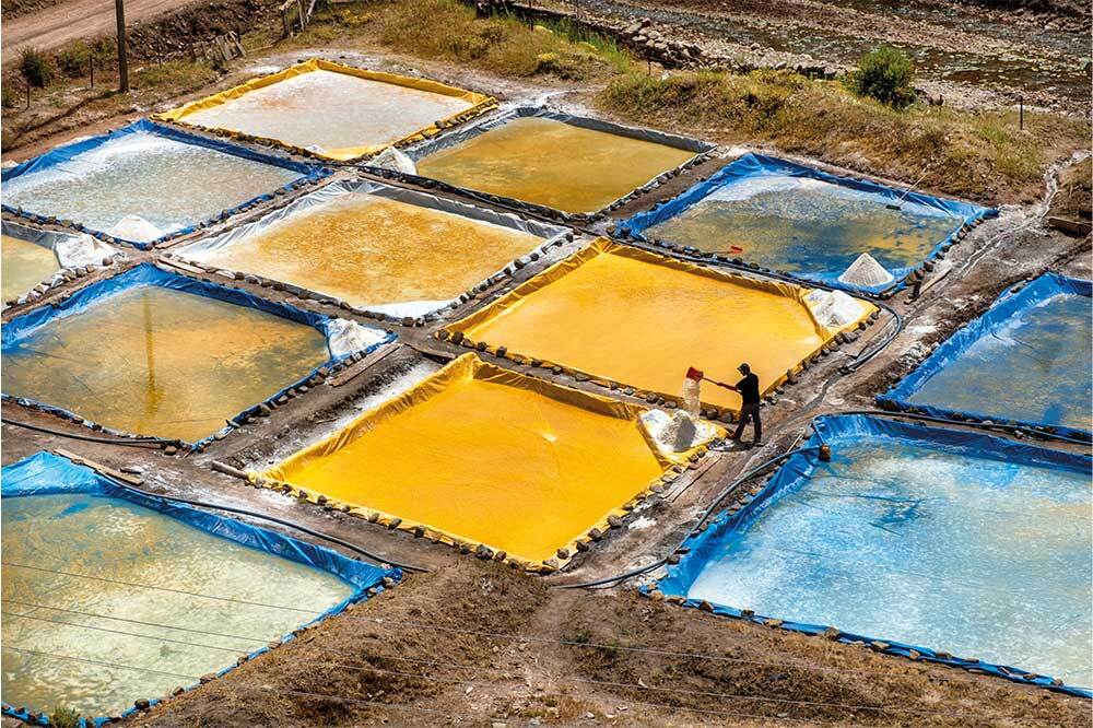 İnsan Egemenliğini Sarsmak 7