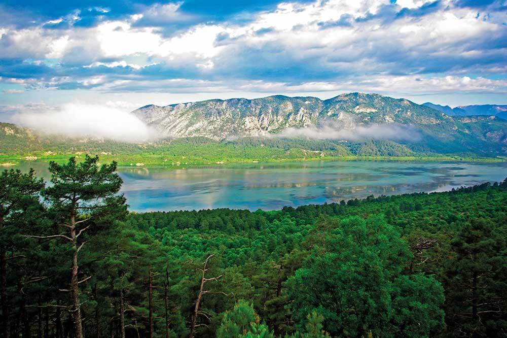 İnsan Egemenliğini Sarsmak 12