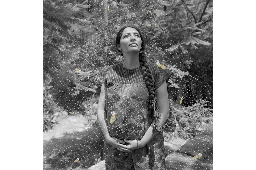 Işığın ve Toprağın Hik&acirc;ye Anlatıcıları 4