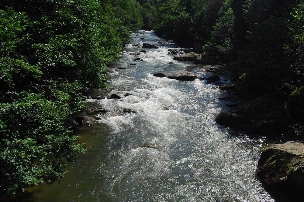 Karadeniz Nehirleri İ&ccedil;in G&uuml;&ccedil; Birliği: PURE RIVERS Projesi Başladı 4