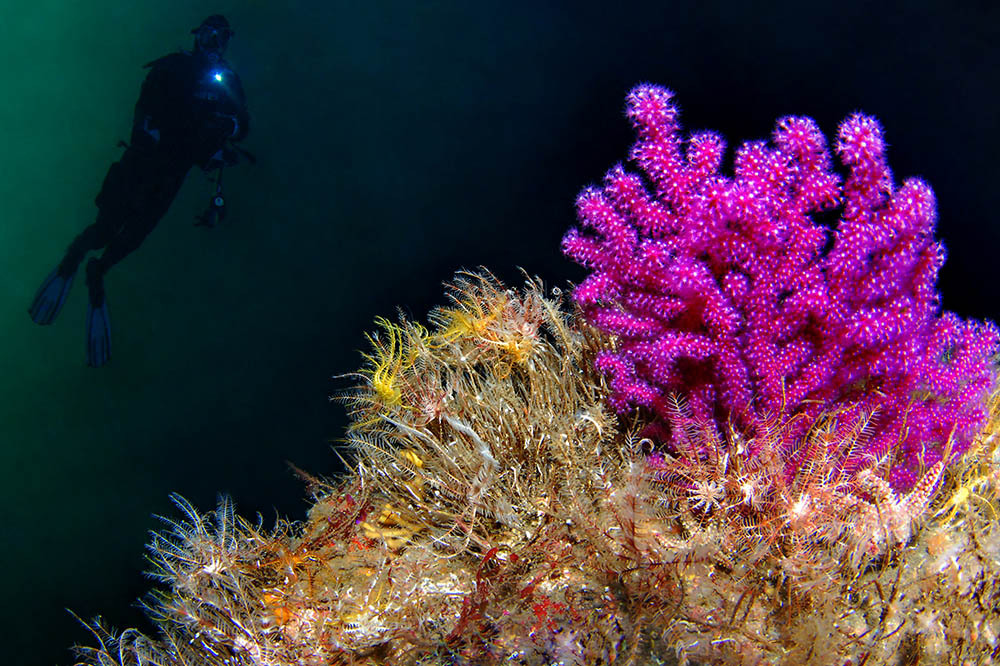 Marmara’dan Akdeniz’e Yelken 1