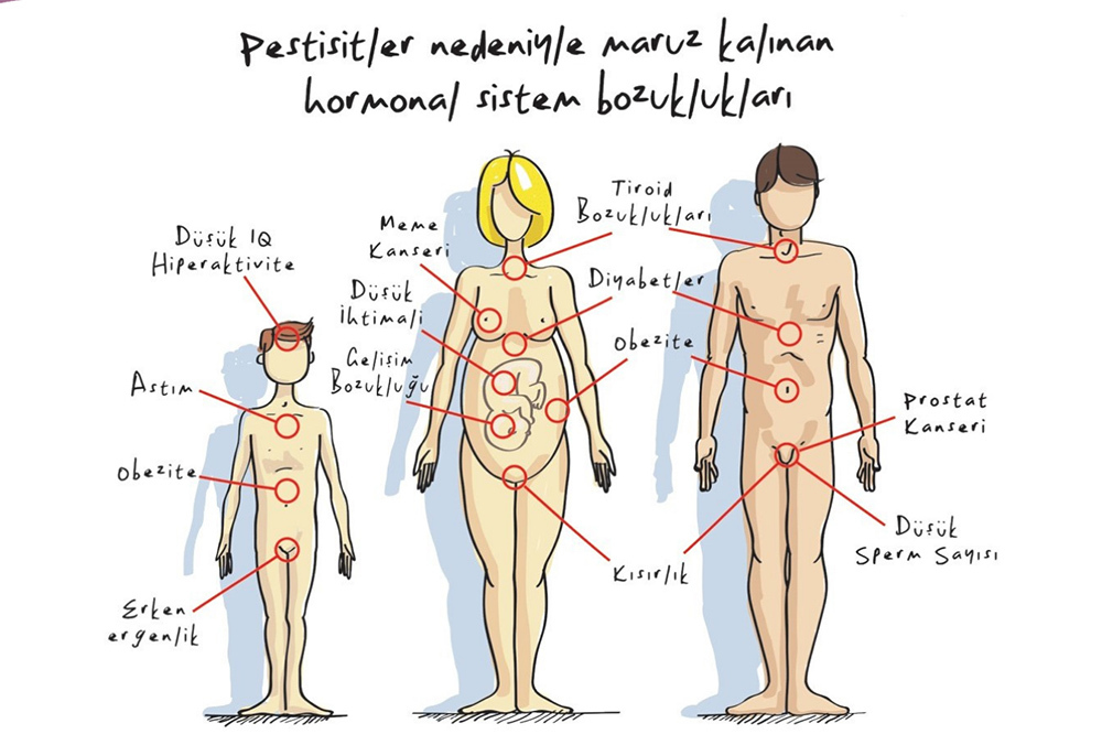 Pestisitler Her Yerde 1