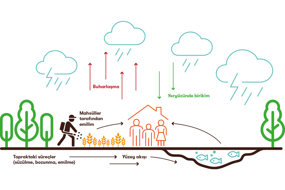 Pestisitler Her Yerde 2
