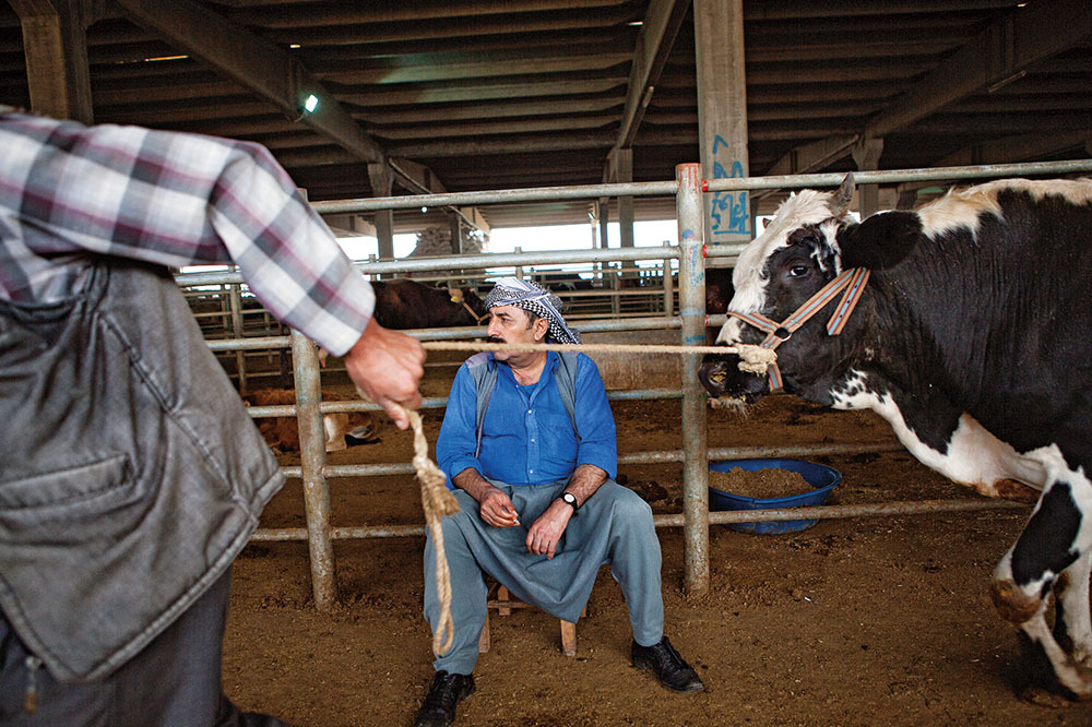 Şarbon, Et İthalatı Ve Kaybolan Meralar 2