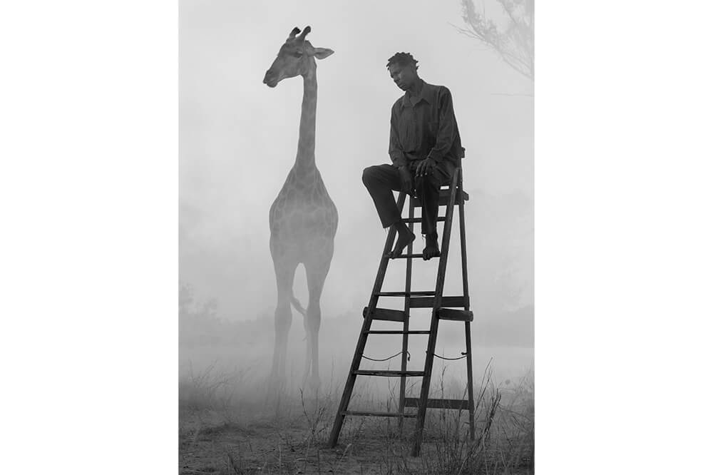 “Şehrin Festivali” 212 Photography Istanbul 1