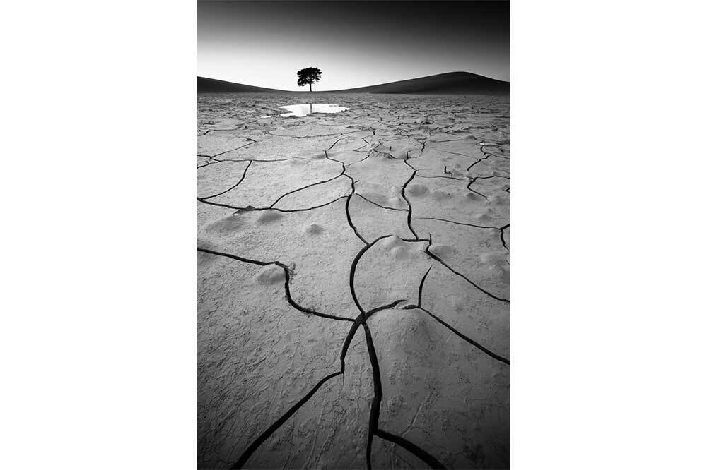 Sony Dünya Fotoğraf Ödülleri 13