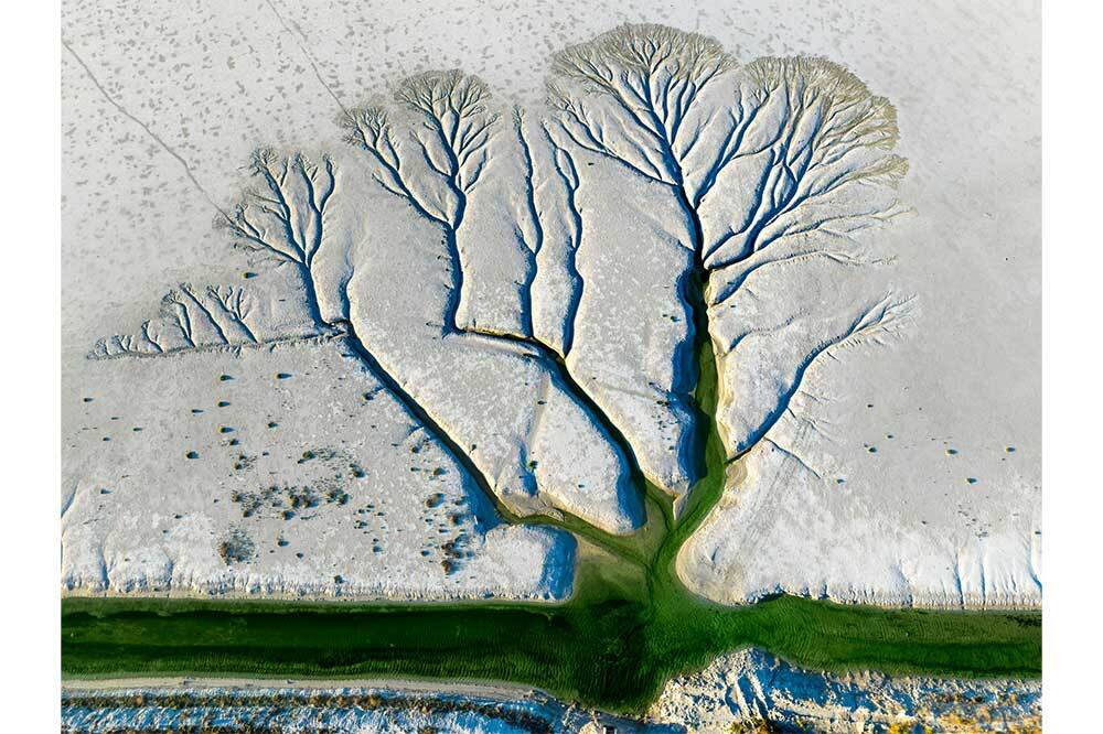 Sony Dünya Fotoğraf Ödülleri 12