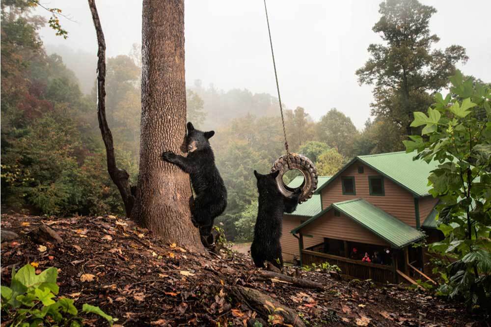 Sony Dünya Fotoğrafçılık Ödülleri 6