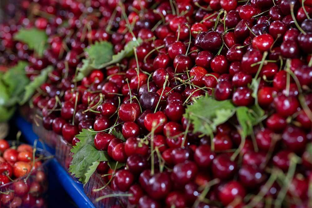 Tarımda 2025 Raporu: &Uuml;retim Bir &Ouml;nceki Yıla G&ouml;re Azaldı 2