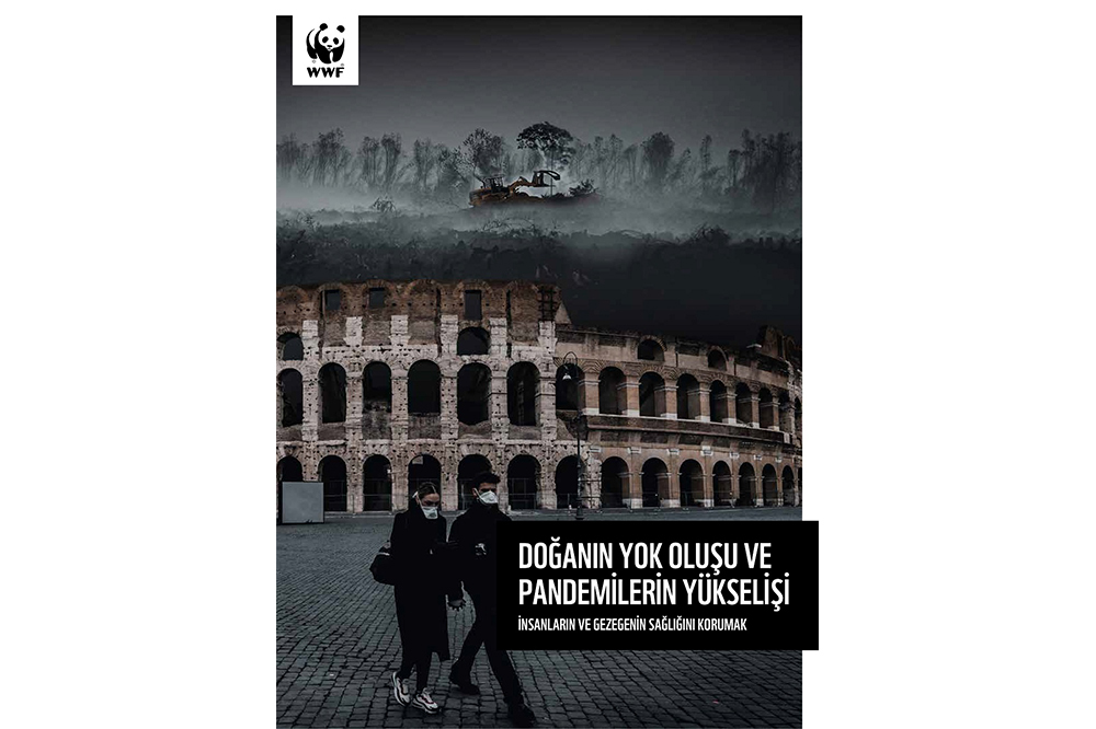 Virüsün Nedeni Yarasa Değil İnsan 1