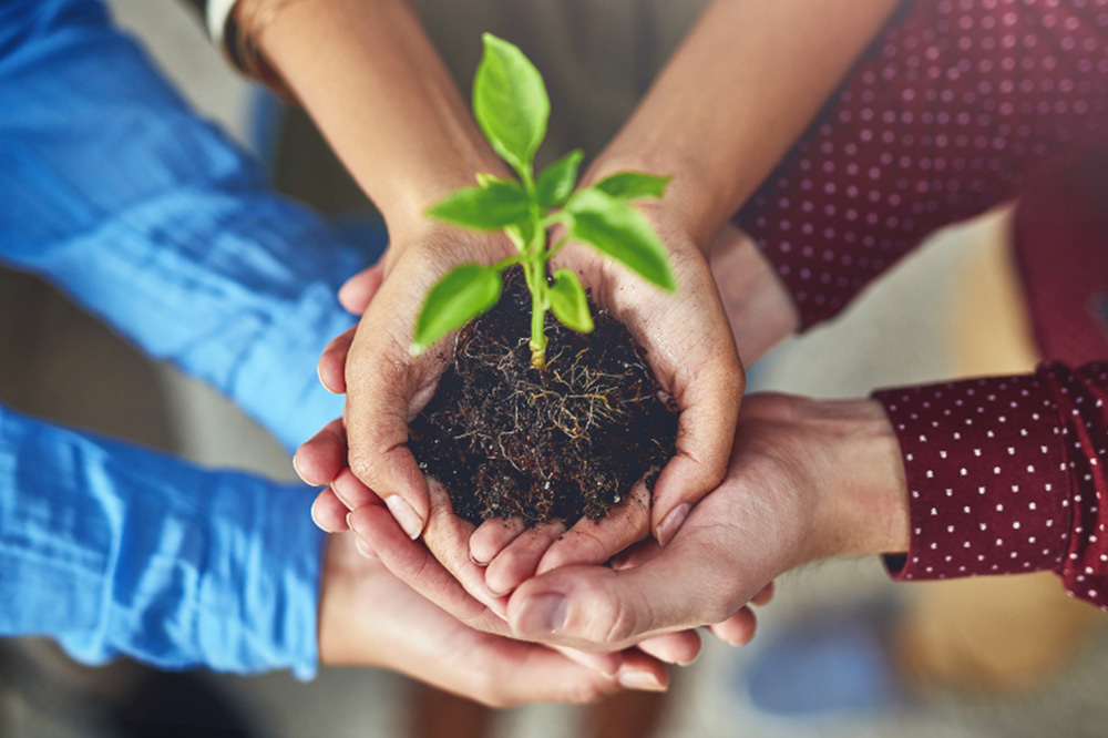 Zehirsiz Sofralar Platformu Kuruldu 1