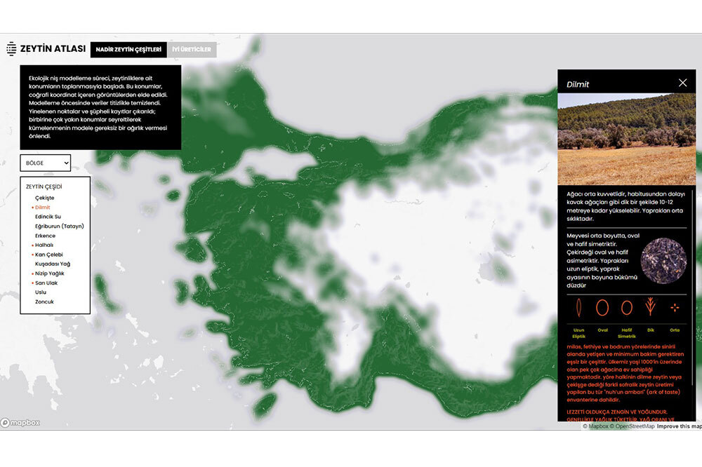 Zeytin Atlası Erişime A&ccedil;ıldı 2