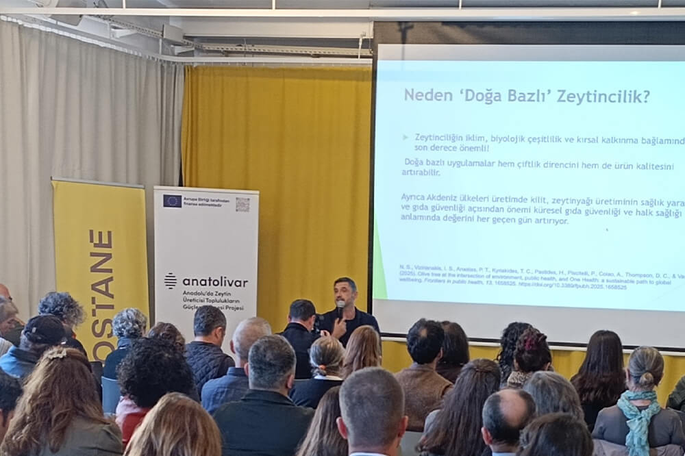 Zeytin Atlası Erişime A&ccedil;ıldı 4