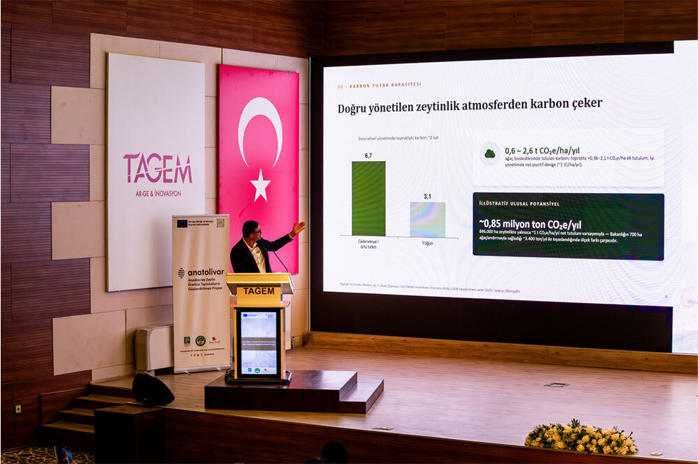 Zeytin Mirasımızı Geleceğe Taşımak 2