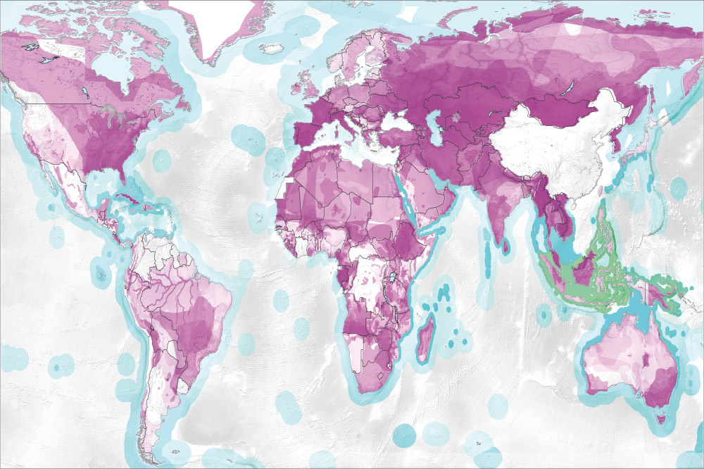 Yok Oluşun Nedeni Ticaret