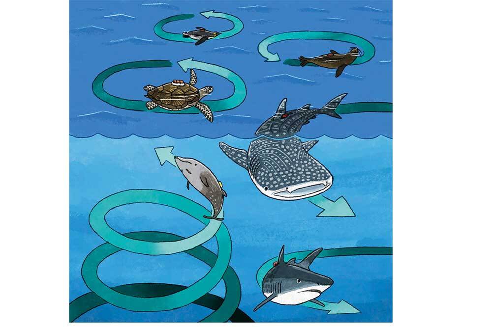 Yön Bulmanın Evrensel Kodu