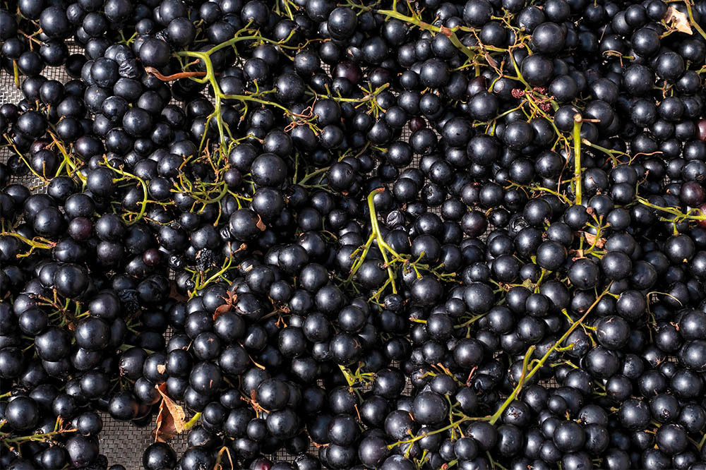 Yukarı Fırat Havzası: Güneşin Altın Tanesi