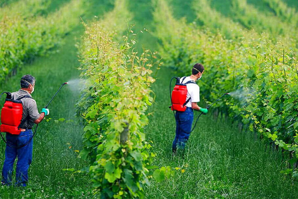 Zehirsiz Sofralar Platformu Kuruldu