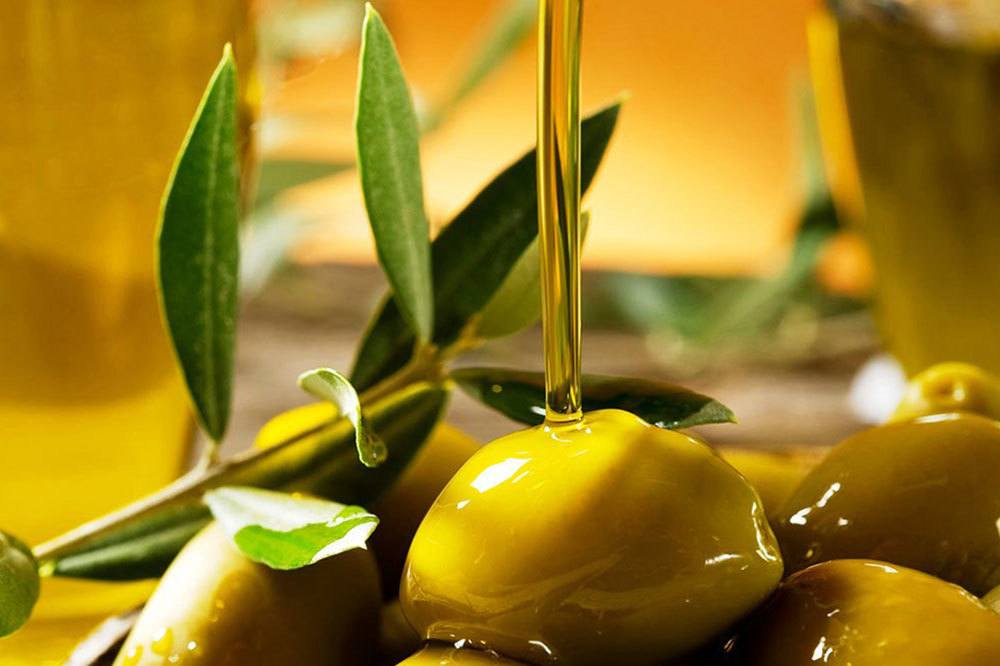 Zeytinliklere Kıymayın